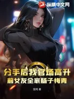 《分手后我官场高升，前女友全家肠子悔青》小说封面