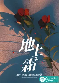 《地上霜》小说封面