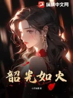 《韶光如火》小说封面