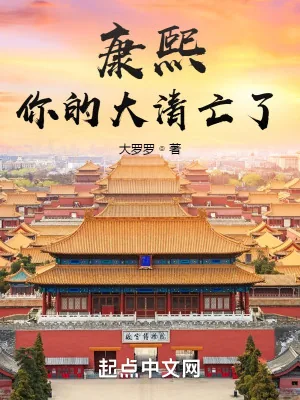 《康熙,你的大清亡了》小说封面