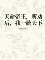 《天命帝王,听劝后,我一统天下》小说封面