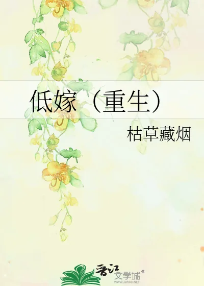 《低嫁(重生)》小说封面