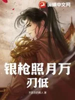 《银枪照月万刃低》小说封面