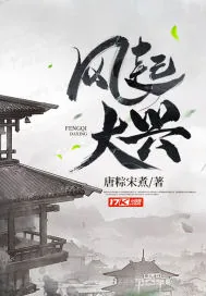 《风起大兴》小说封面