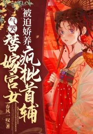 《气哭,替嫁宫女被迫娇养疯批首辅》小说封面