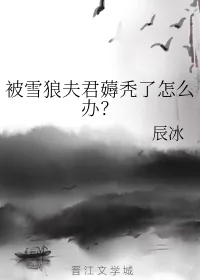《被雪狼夫君薅秃了怎么办?》小说封面