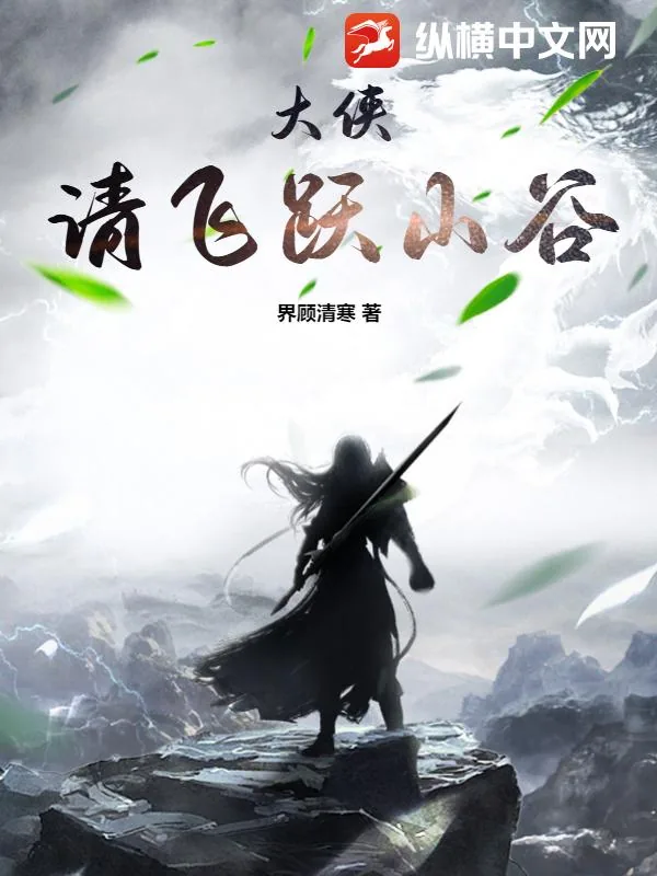 《大侠，请飞跃山谷》小说封面